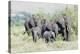 African Bush Elephant Herd, Maasai Mara, Kenya-Martin Zwick-Premier Image Canvas