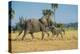 African Bush Elephant (Loxodonta Africana) Mother with Calf, Liwonde National Park, Malawi, Africa-Michael Runkel-Premier Image Canvas