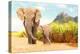 African Bush Elephants - Loxodonta Africana Family Walking on the Road in Wildlife Reserve. Greetin-Kletr-Premier Image Canvas