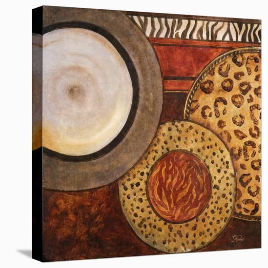 African Circles II-Patricia Pinto-Stretched Canvas