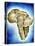 African Continent Watercolor-Ben Heine-Premier Image Canvas