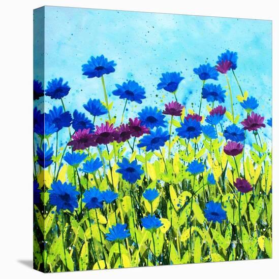 African Daises-Herb Dickinson-Premier Image Canvas