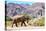 African desert elephant walking in dry Hoanib Riverbed, Namibia-Eric Baccega-Premier Image Canvas