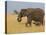 African Elephant and Baby (Loxodonta Africana), Masai Mara National Reserve, Kenya-Sergio Pitamitz-Premier Image Canvas