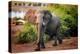 African elephant, Chobe National Park, Botswana, Africa-Karen Deakin-Premier Image Canvas