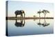 African Elephant, Chobe National Park, Botswana-Paul Souders-Premier Image Canvas