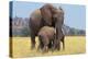 African Elephant Female, Cow with Young Calf-null-Premier Image Canvas