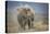 African Elephant (Loxodonta Africana) Bull Dust-Bathing, Chyulu Hills, Kenya-Wim van den Heever-Premier Image Canvas