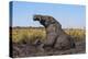 African elephant (Loxodonta africana) mudbathing, Chobe River, Botswana, Africa-Ann and Steve Toon-Premier Image Canvas