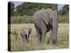 African Elephant Mother and Young, Masai Mara National Reserve-James Hager-Premier Image Canvas
