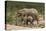 African Elephants 055-Bob Langrish-Premier Image Canvas