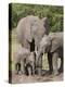 African Elephants and Baby (Loxodonta Africana), Masai Mara National Reserve, Kenya-Sergio Pitamitz-Premier Image Canvas