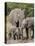 African Elephants and Baby (Loxodonta Africana), Masai Mara National Reserve, Kenya-Sergio Pitamitz-Premier Image Canvas