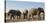 African elephants (Loxodonta africana) at waterhole, Botswana, Africa-Sergio Pitamitz-Premier Image Canvas