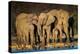 African Elephants (Loxodonta Africana) at Waterhole, Etosha National Park, Namibia-null-Stretched Canvas