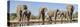 African Elephants (Loxodonta Africana) at Waterhole, Mashatu Game Reserve, Botswana-null-Premier Image Canvas