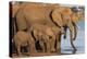 African elephants (Loxodonta africana) drinking, Zimanga game reserve, KwaZulu-Natal-Ann and Steve Toon-Premier Image Canvas