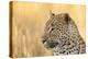 African Leopard-Michele Westmorland-Premier Image Canvas