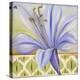 African Lily I-Patricia Pinto-Stretched Canvas