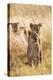 African Lionesses-Michele Westmorland-Premier Image Canvas