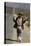 African Man Walks Along Side of Road, Durban, South Africa, 1960-Grey Villet-Premier Image Canvas