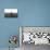 African Meerkat-Bob Langrish-Premier Image Canvas displayed on a wall