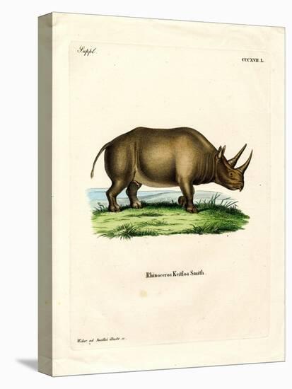 African Rhinoceros-null-Premier Image Canvas
