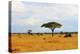 African Savannah Landscape-AndyCandy-Premier Image Canvas