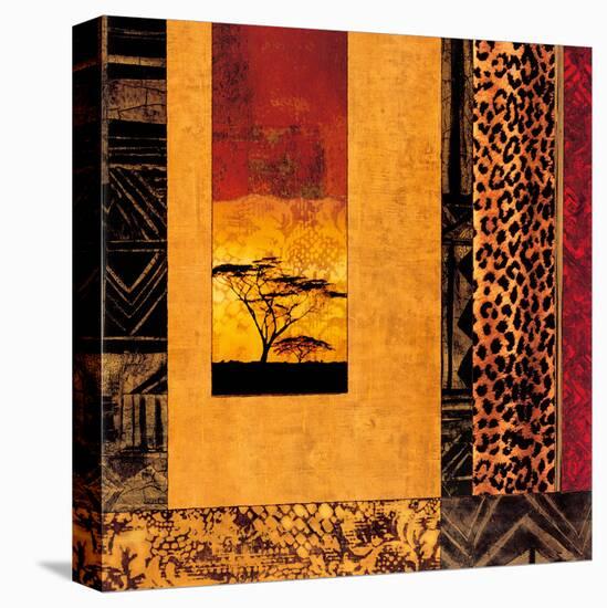 African Studies I-Chris Donovan-Stretched Canvas