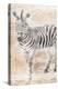 African Traveling  Animals Two-Jace Grey-Stretched Canvas