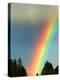 After Bad Weather and Rain Enjoys a Rainbow.-ginasanders-Premier Image Canvas