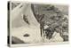 After Reindeer in Norway-Richard Caton Woodville II-Premier Image Canvas