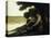 After the Swim-Honore Daumier-Premier Image Canvas