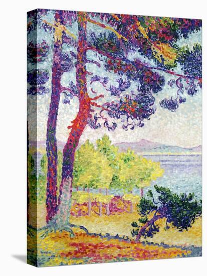 Afternoon at Pardigon, Var, 1907-Henri Edmond Cross-Premier Image Canvas