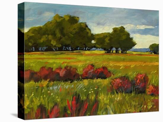 Afternoon Fields 1-Patty Baker-Stretched Canvas