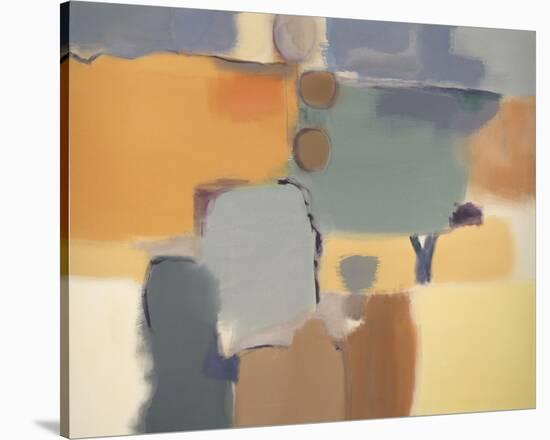 Afternoon Light-Nancy Ortenstone-Stretched Canvas