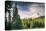 Afternoon Sun at Mount Hood Meadow, Government Camp, Oregon-Vincent James-Premier Image Canvas