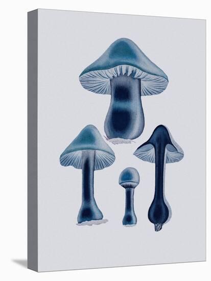 Agaricus Bulbosus - Blue-John Stephenson and James Morss Churchill-Premier Image Canvas