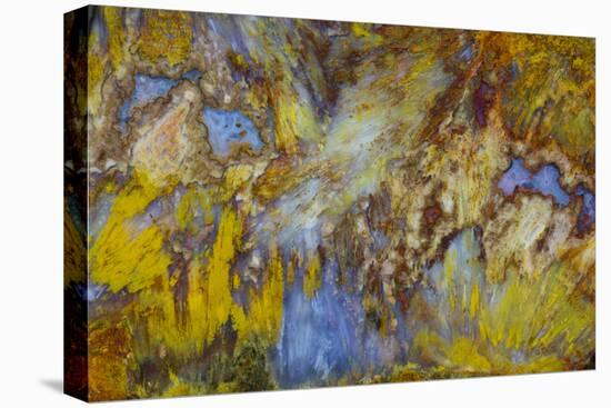 Agate in Colorful Design, Sammamish, WA-Darrell Gulin-Premier Image Canvas