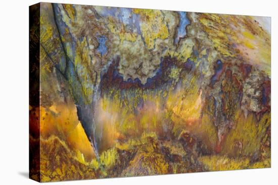 Agate in Colorful Design, Sammamish, WA-Darrell Gulin-Premier Image Canvas