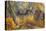 Agate in Colorful Design, Sammamish, WA-Darrell Gulin-Premier Image Canvas