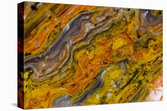 Agate in Colorful Design, Sammamish, WA-Darrell Gulin-Premier Image Canvas