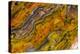 Agate in Colorful Design, Sammamish, WA-Darrell Gulin-Premier Image Canvas