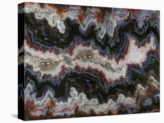 Agate in Colorful Design, Sammamish, WA-Darrell Gulin-Premier Image Canvas