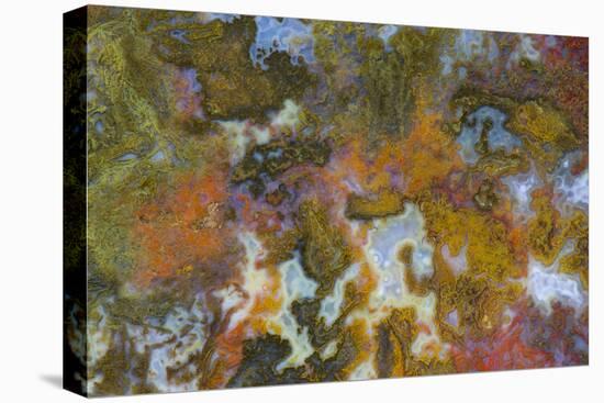 Agate in Colorful Design, Sammamish, Washington State-Darrell Gulin-Premier Image Canvas