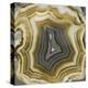 Agate in Gold & Grey-Danielle Carson-Stretched Canvas