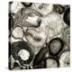 Agate in Pewter II-Danielle Carson-Stretched Canvas