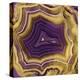Agate in Purple & Gold II-Danielle Carson-Stretched Canvas