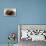 Agate Pearl with Ibbi-Sin King of Ur's Seal-null-Premier Image Canvas displayed on a wall