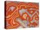 Agate sample-Walter Geiersperger-Premier Image Canvas